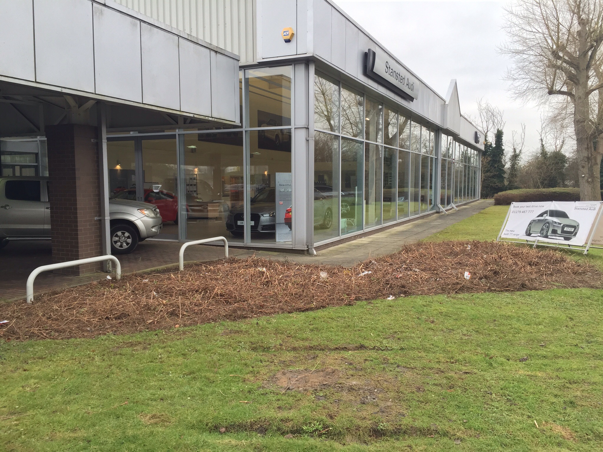 Tree surgery Stanstead. Image