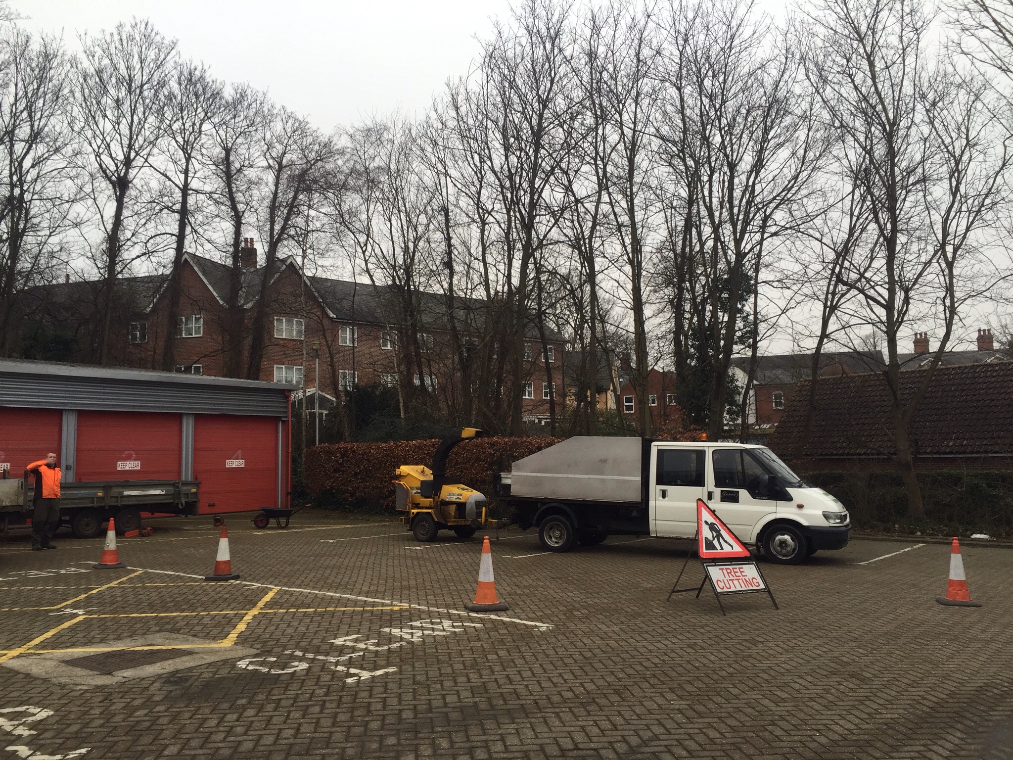 Tree surgery site clearance Bury St Edmunds  Image