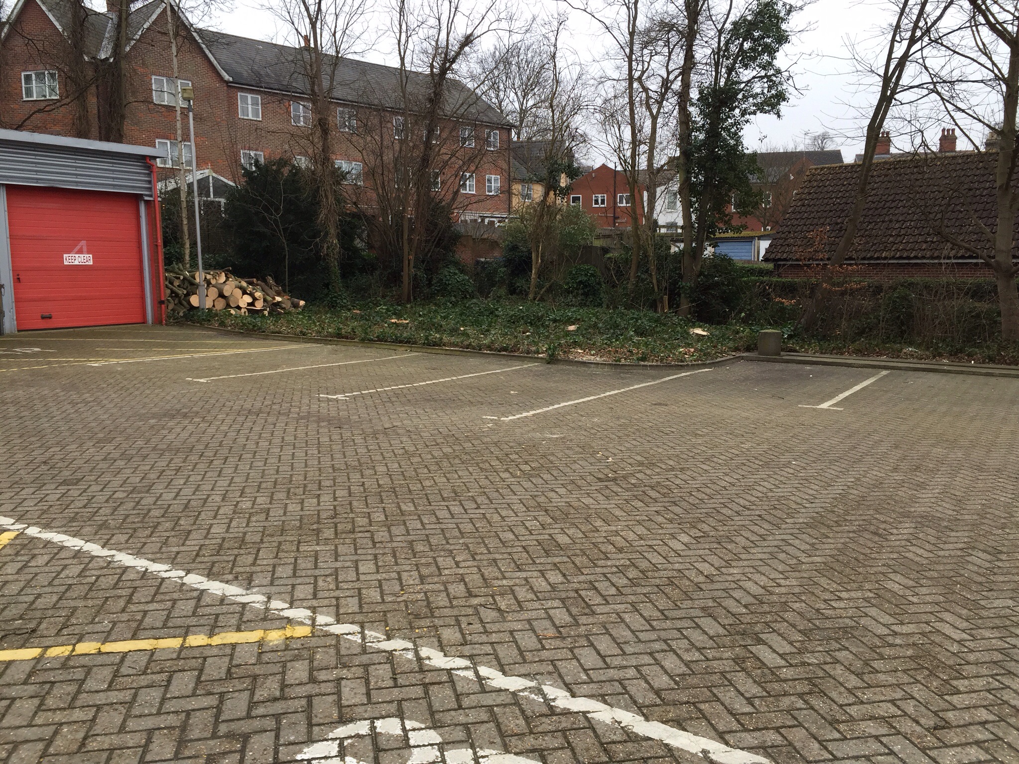 Tree surgery site clearance Bury St Edmunds  Image