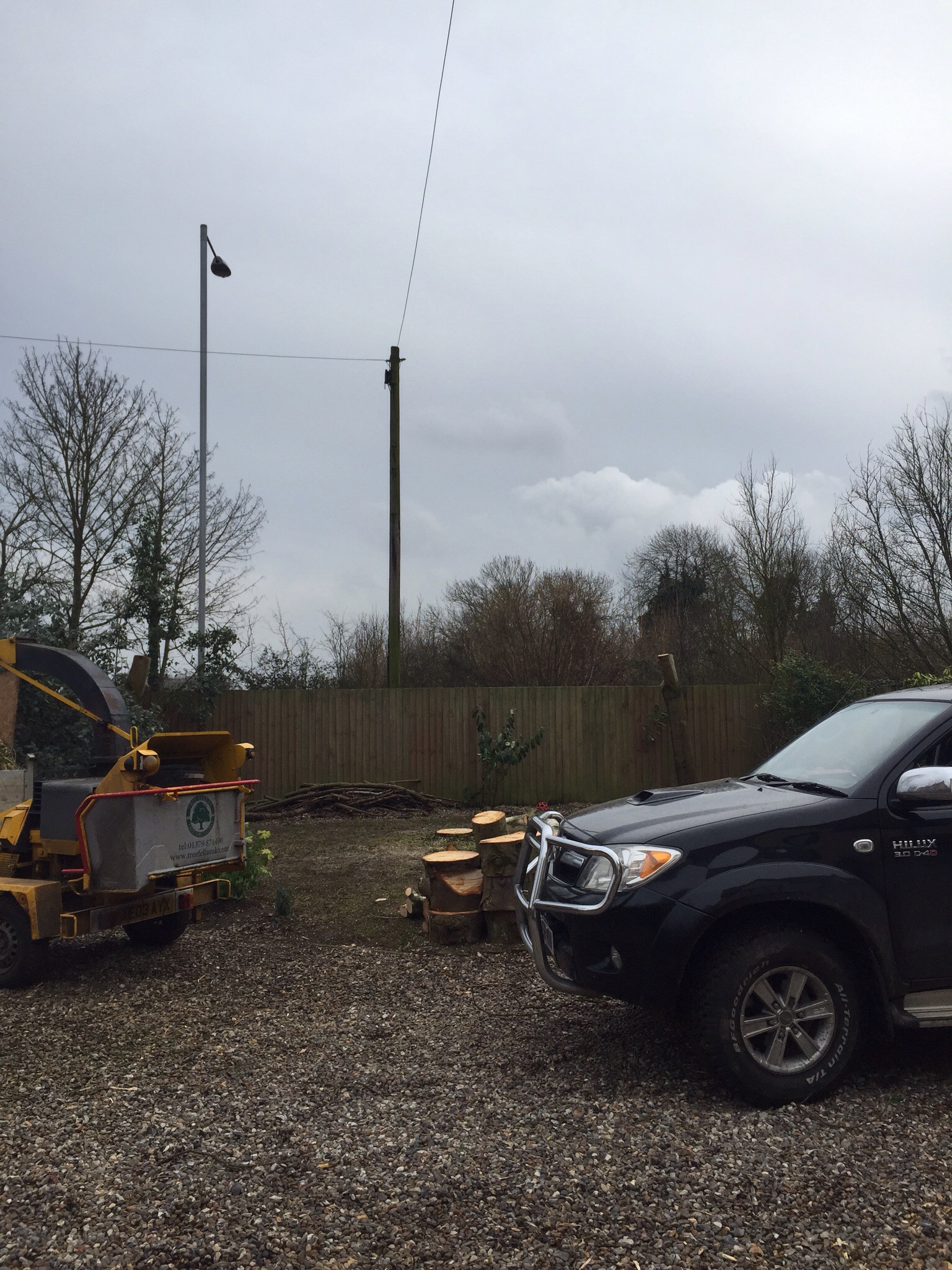 Tree surgery Hethersett Norfolk  Image