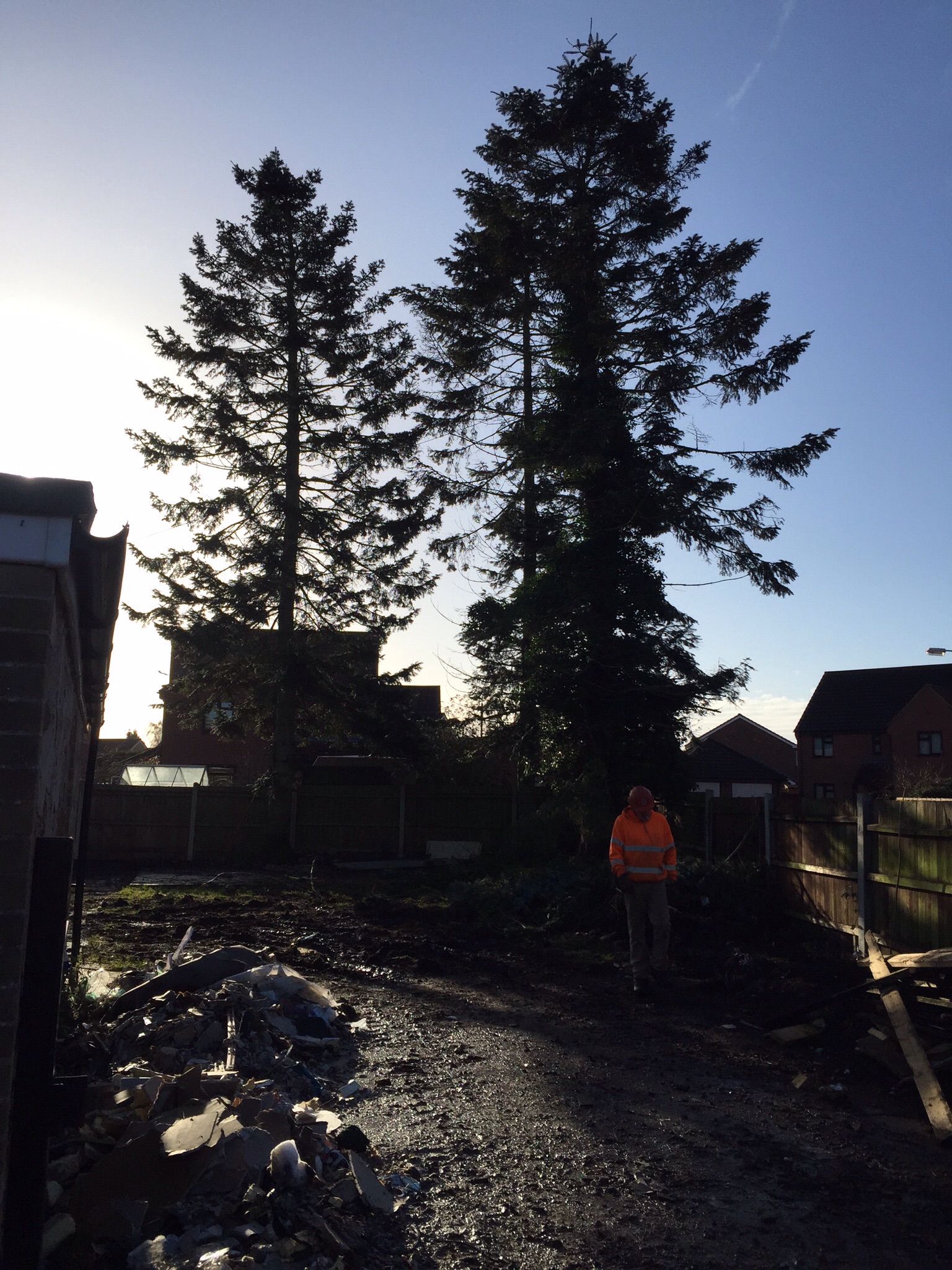 Tree surgery site clearance Attleborogh Norfolk. Image