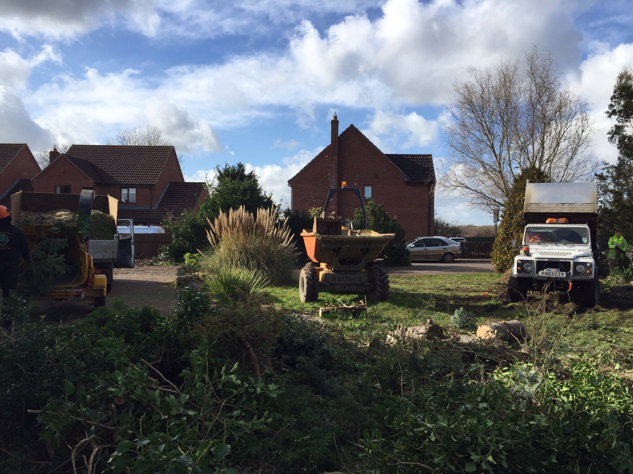 Tree surgery site clearance Attleborogh Norfolk. Image