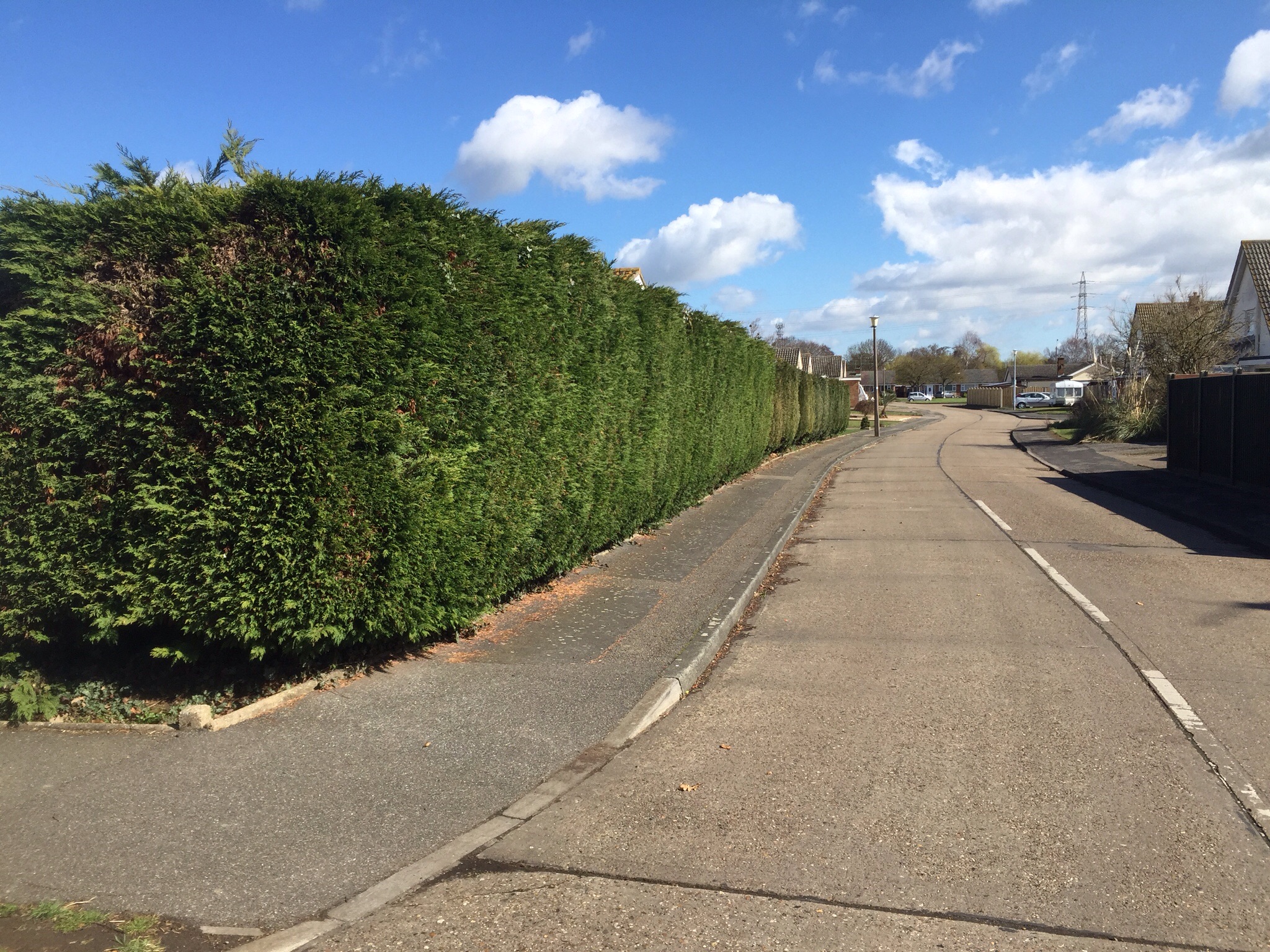 Tree surgery Ipswich ( Sproughton ) Image