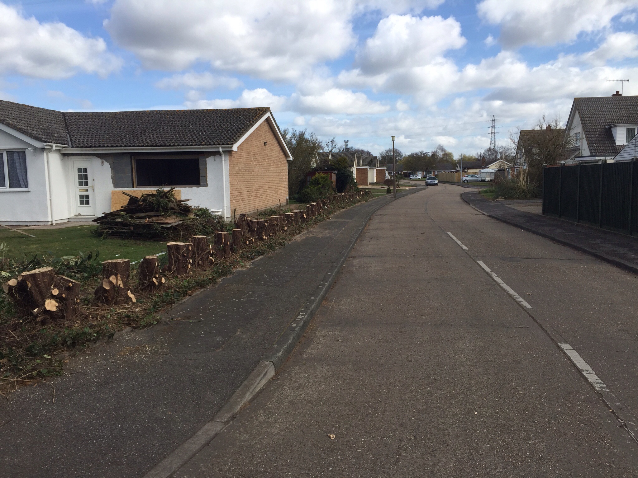 Tree surgery Ipswich ( Sproughton ) Image